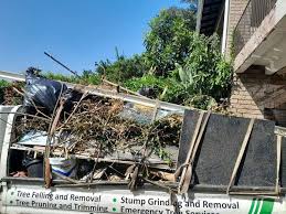 Best Hoarding Cleanup  in Lebanon, TN